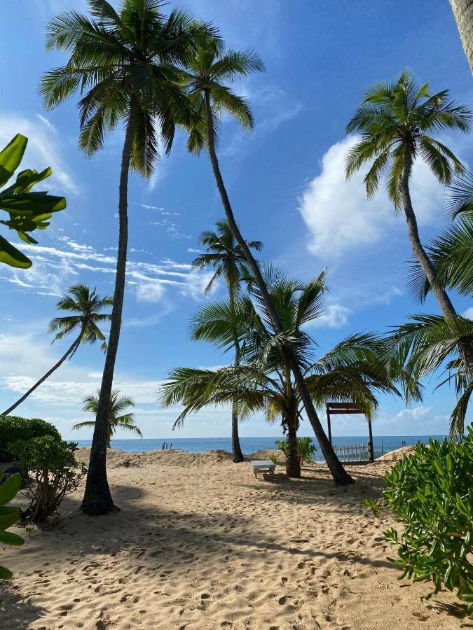 탕갈레 Tropical Garden 아파트 외부 사진