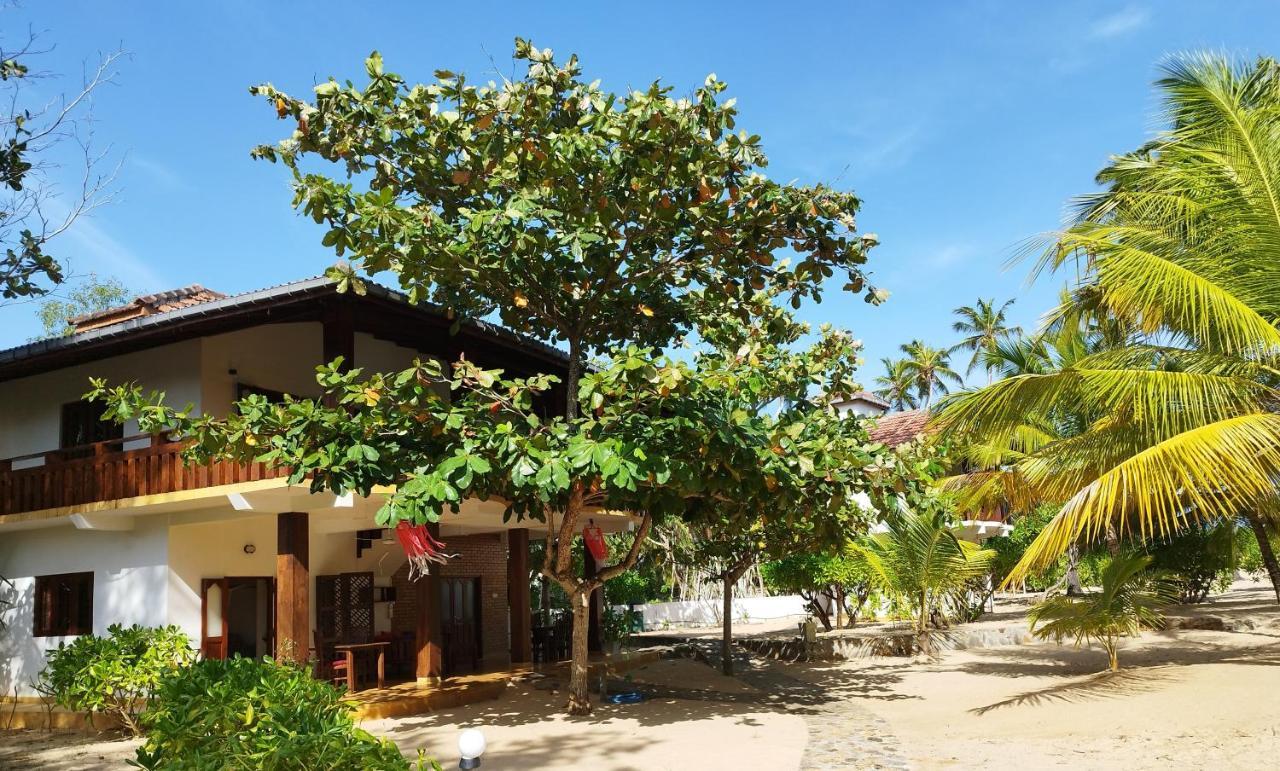 탕갈레 Tropical Garden 아파트 외부 사진